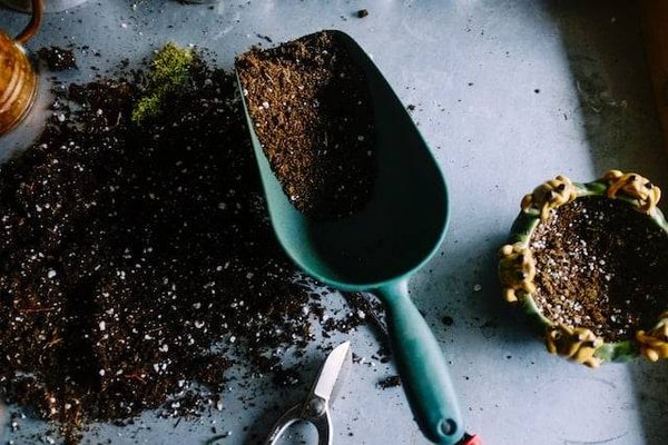 Les Meilleurs Engrais Naturels pour un Jardin Luxuriant