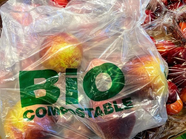 Les meilleures astuces pour conserver vos aliments bio plus longtemps